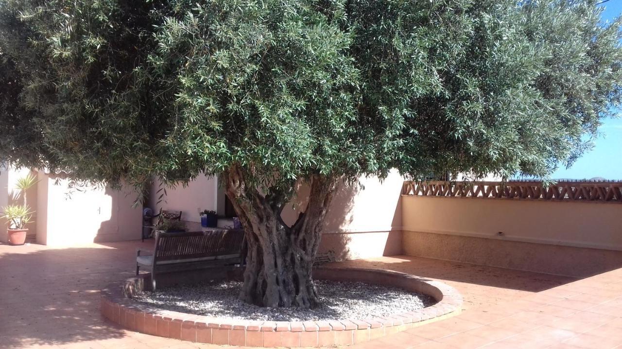 Finca Milagro Villa San Fulgencio Exterior photo